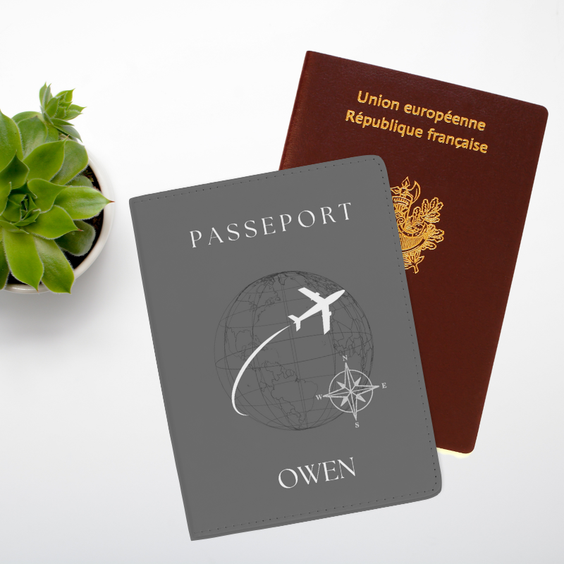 Gris - Protège-passeport