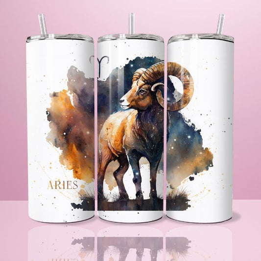 Aries - Thermos 590ml 